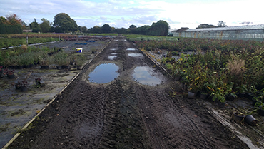 Four Crosses Nursery